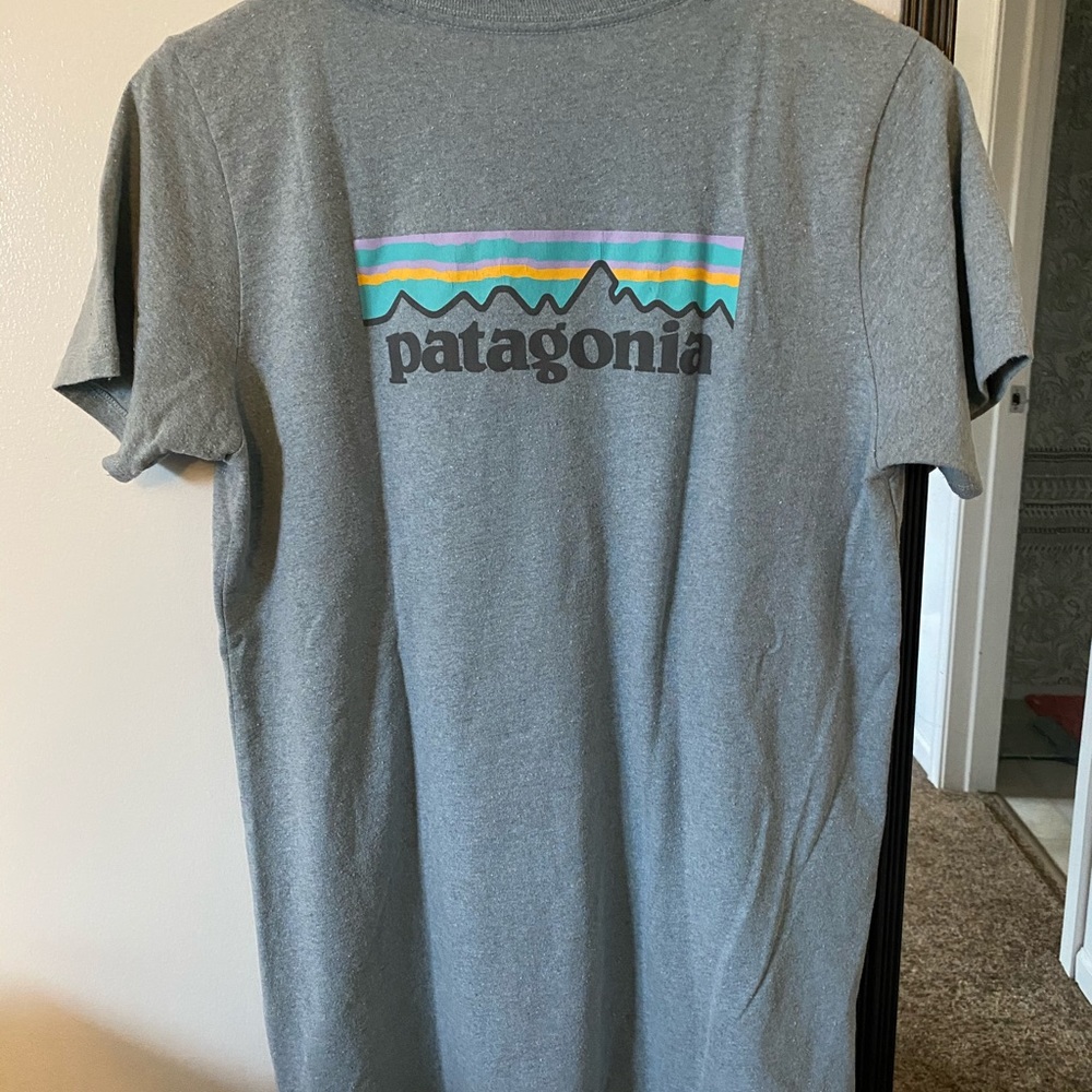 Gray blue Patagonia Tshirt.